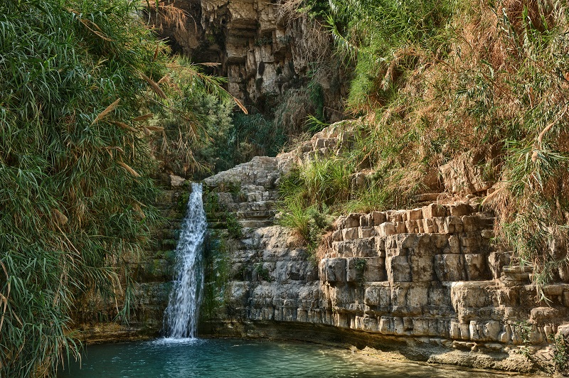 Ein Gedi