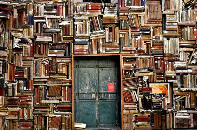 Изображение Nino Carè с сайта Pixabay Книги Италия