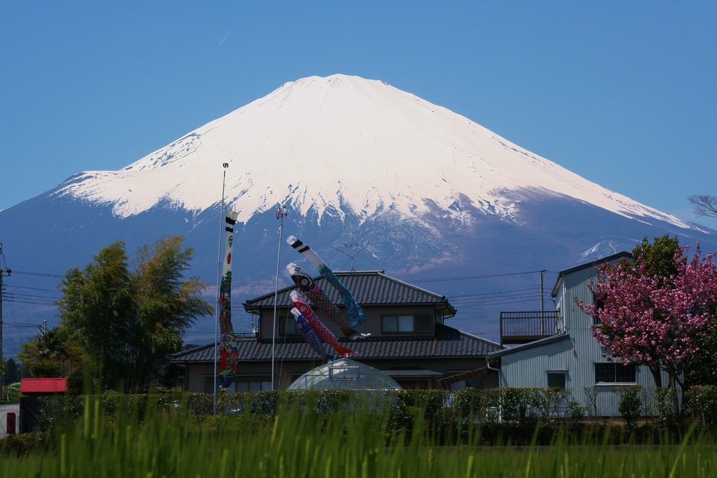Поездка в Сидзуоку: зоопарк Izu Shaboten Zoo