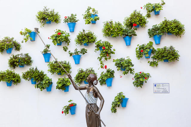 www.andalucia.org В центре Кордовы