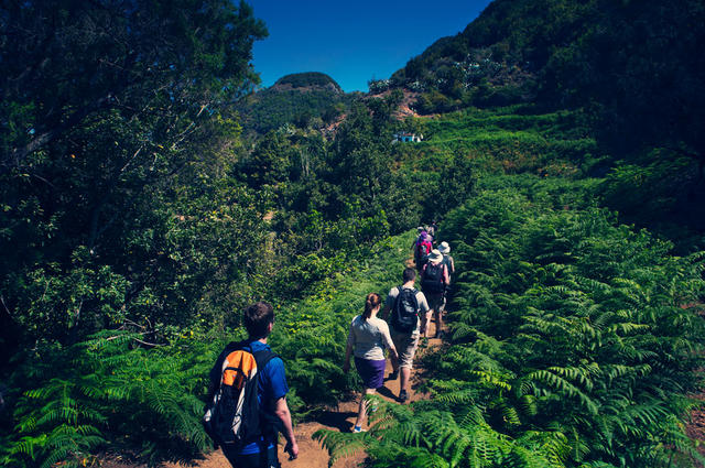 www.webtenerife.com Пешие походы